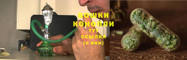 прущие крисы Армянск