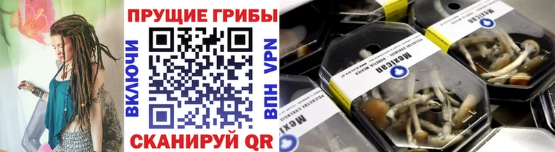 Галлюциногенные грибы мицелий Богданович