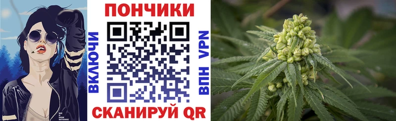 закладки  Богданович  Марихуана Ganja 